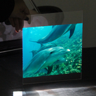 3D Transparent Holographic Projection Film Gray White Black Rear Hologram Window Foil