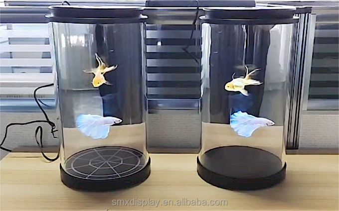 Caja cilíndrica holográfica de 5.5 /21.5/75 pulgadas, holograma 3D, interactiva con IA, para exhibición en museos 3