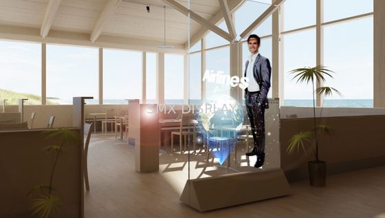 Calidad Película olográfica auta-adhesivo de la proyección posterior de 170° 100um Fábrica