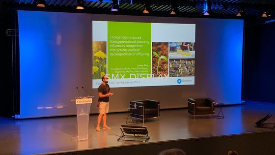 calidad pantalla de proyección motorizada grande 350inch con el RF teledirigido Fábrica